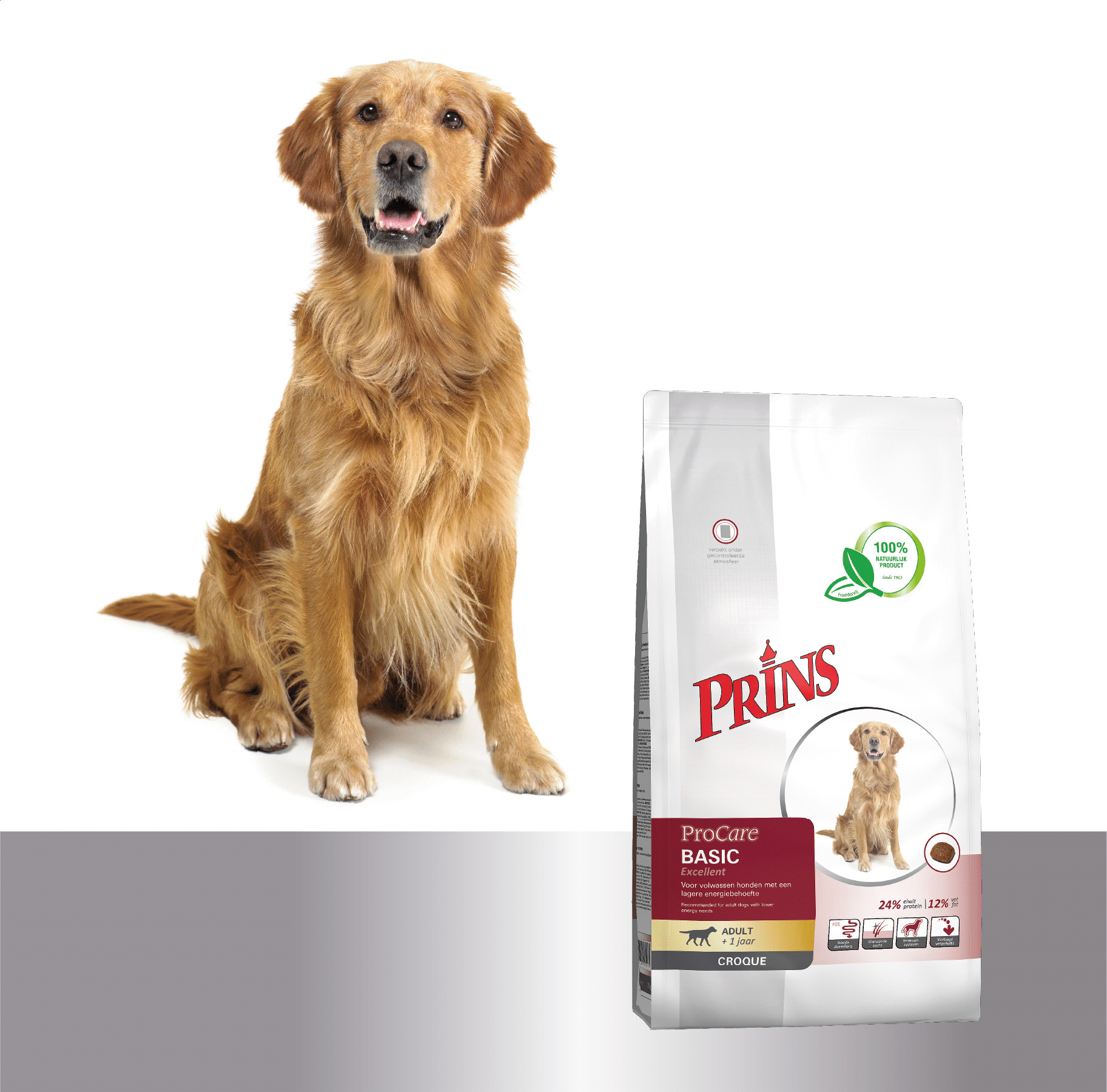 Prins ProCare Croque Basis Excellent pour chien