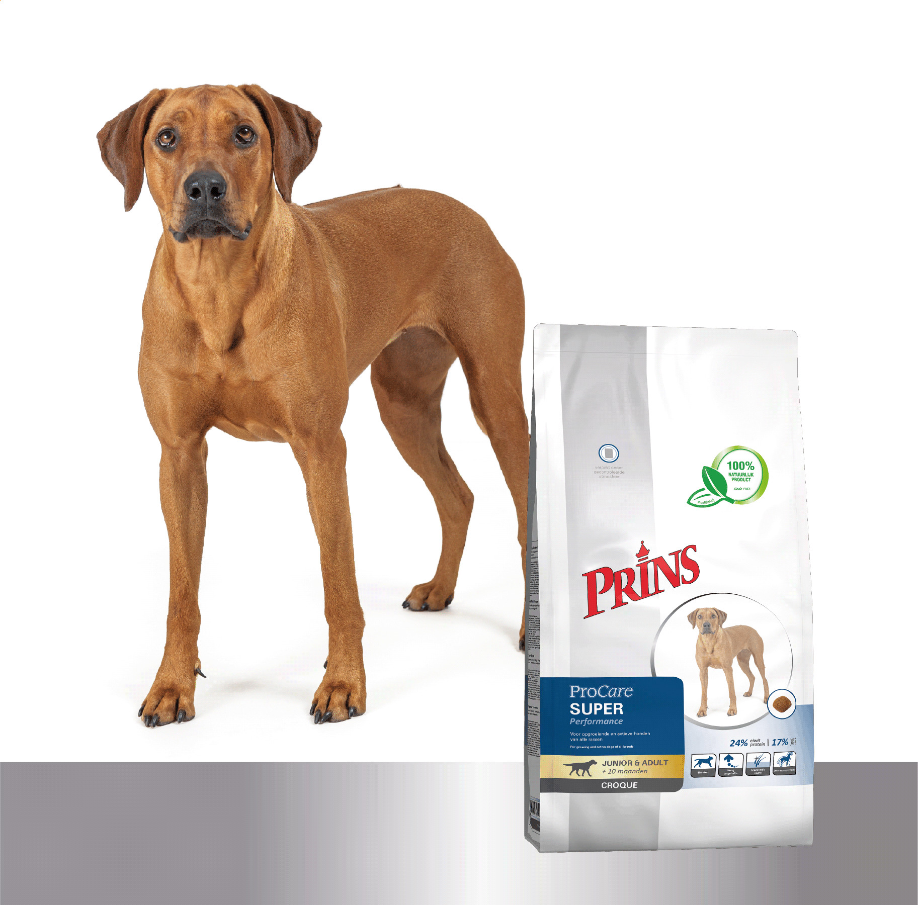 Prins Chien ProCare Croque Super Performance