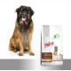 Prins Chien ProCare Croque Agneau & Riz Hypoallergénique