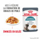 Royal Canin Hairball Care en gelée pâtée pour chat (85 g)