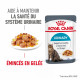 Royal Canin Urinary Care en gelée pâtée pour chat (85 g)