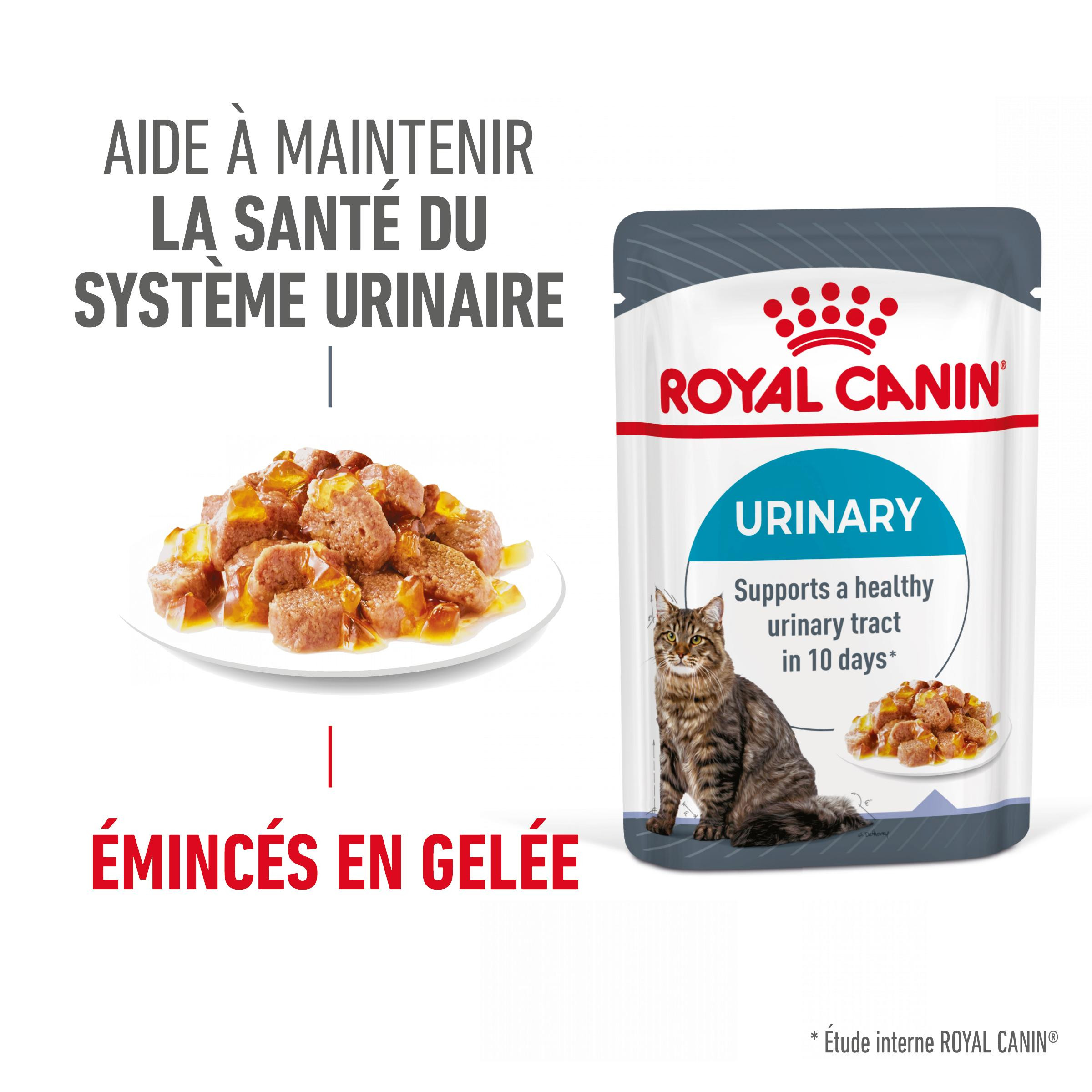 Royal Canin Urinary Care in gelei natvoer kat (85 g)
