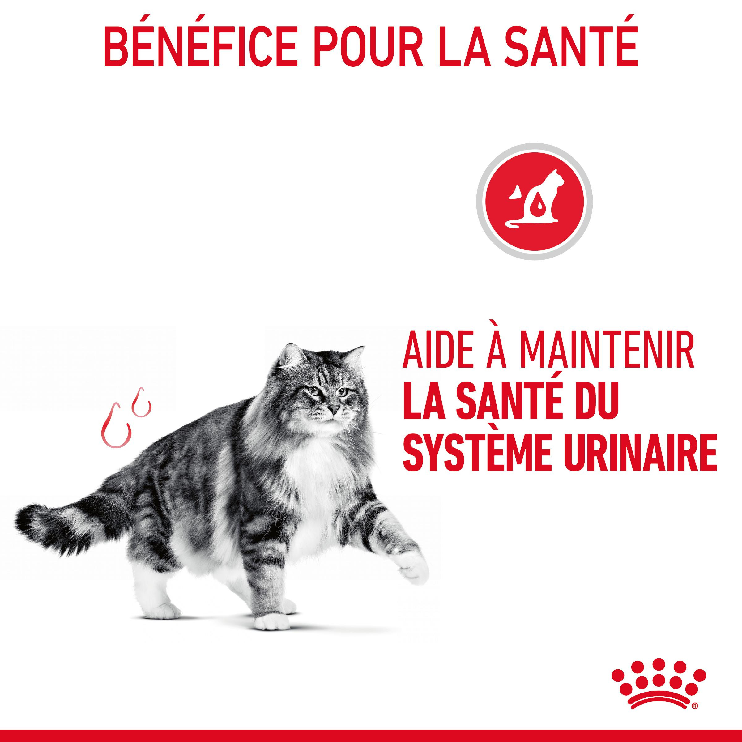 Royal Canin Urinary Care in gelei natvoer kat (85 g)