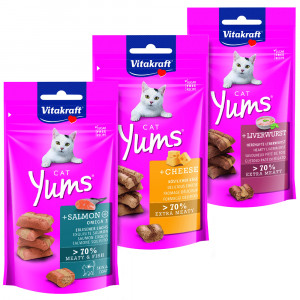Vitakraft Cat Yums combi avec saumon, fromage, foie snack pour chat (3 X 40g) 2 Combipacks