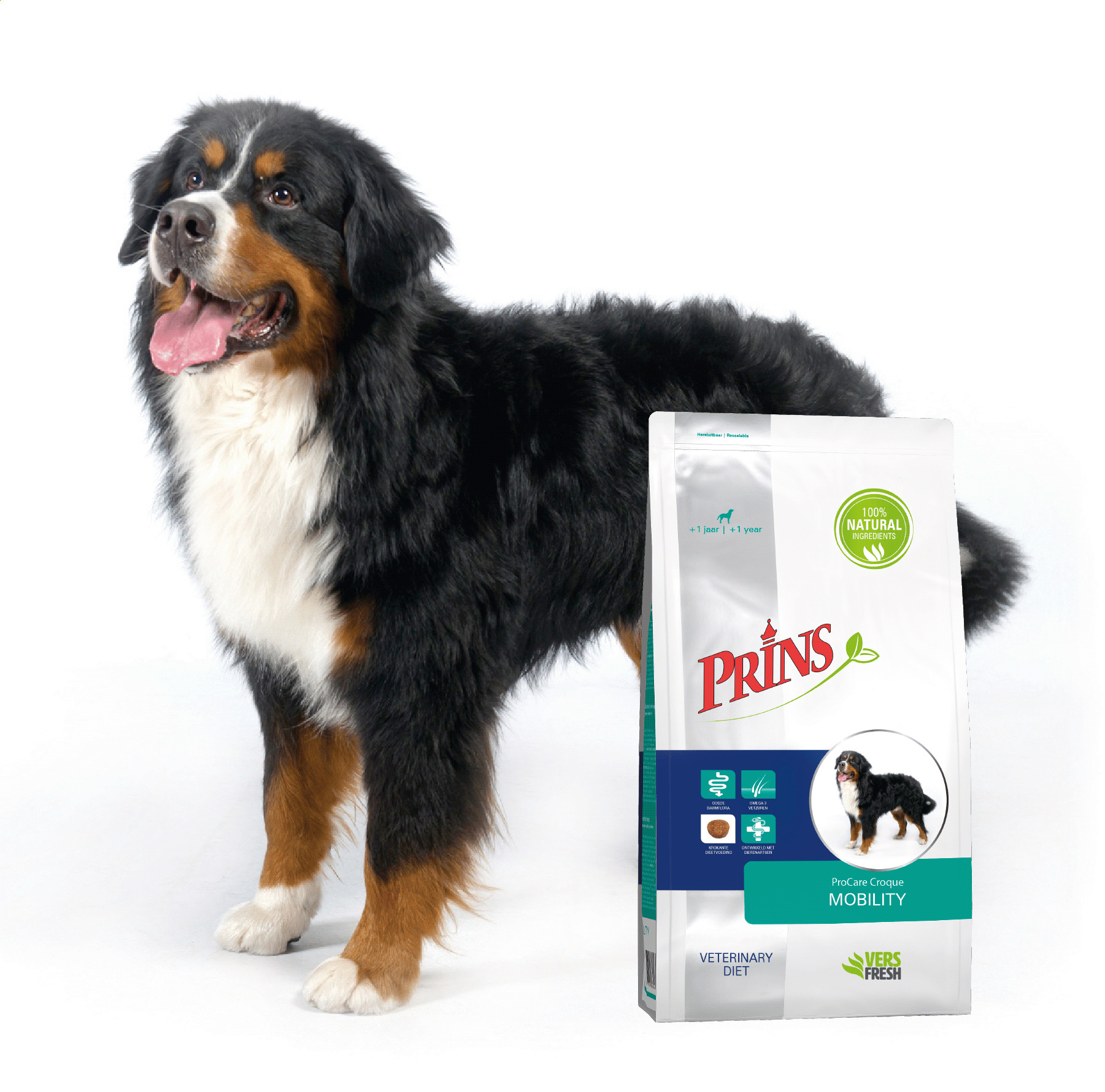 Prins Procare Croque Dieet Mobility voor de hond