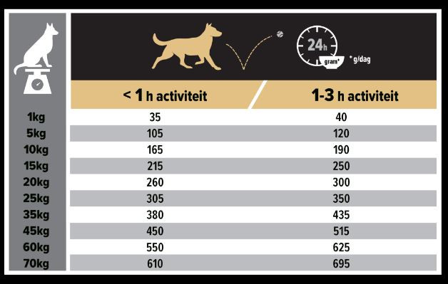 Pro Plan Medium Adult Sensitive Skin au saumon pour chien