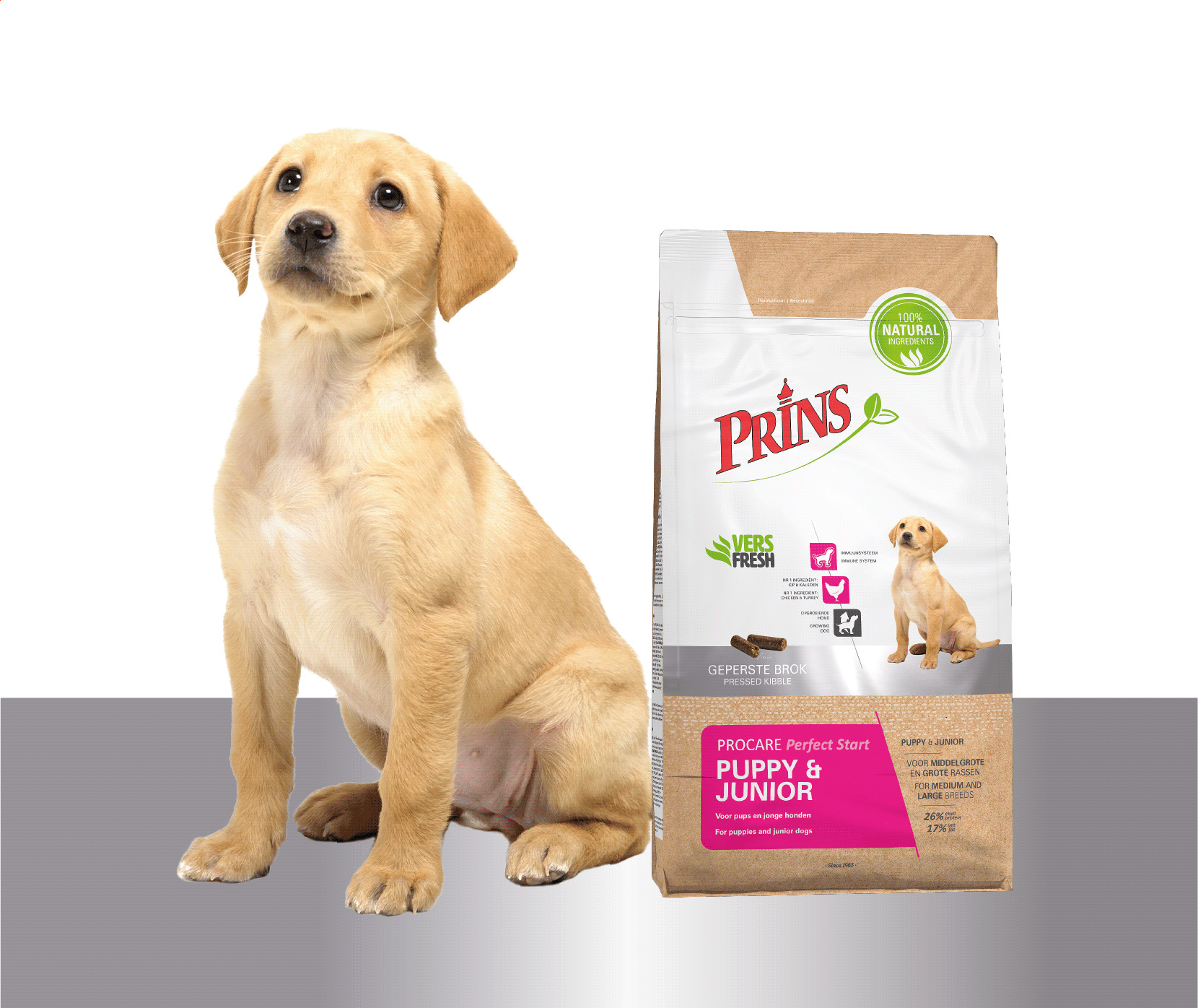 Prins ProCare Perfect Start Puppy & Junior pour chiot