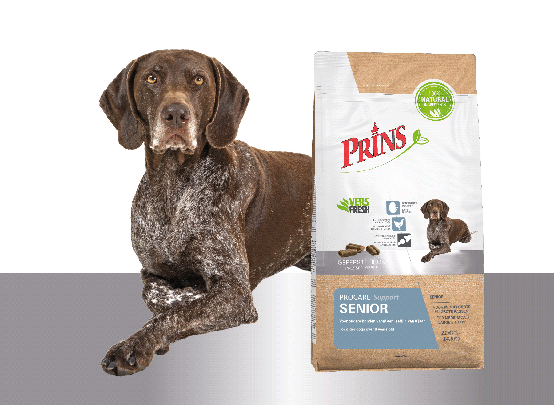 Prins ProCare Senior Support pour chien