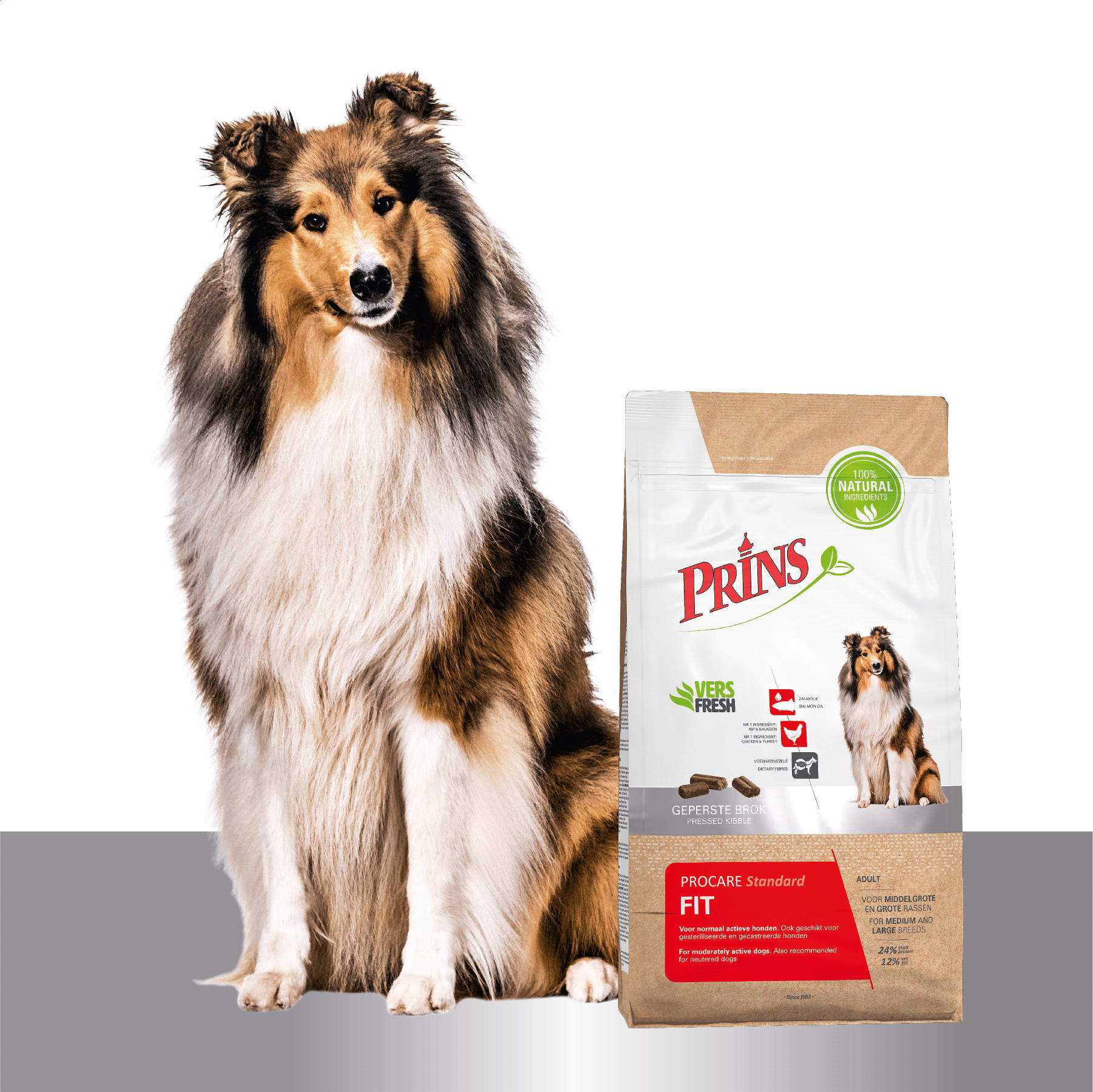 Prins ProCare Standard Fit pour chien