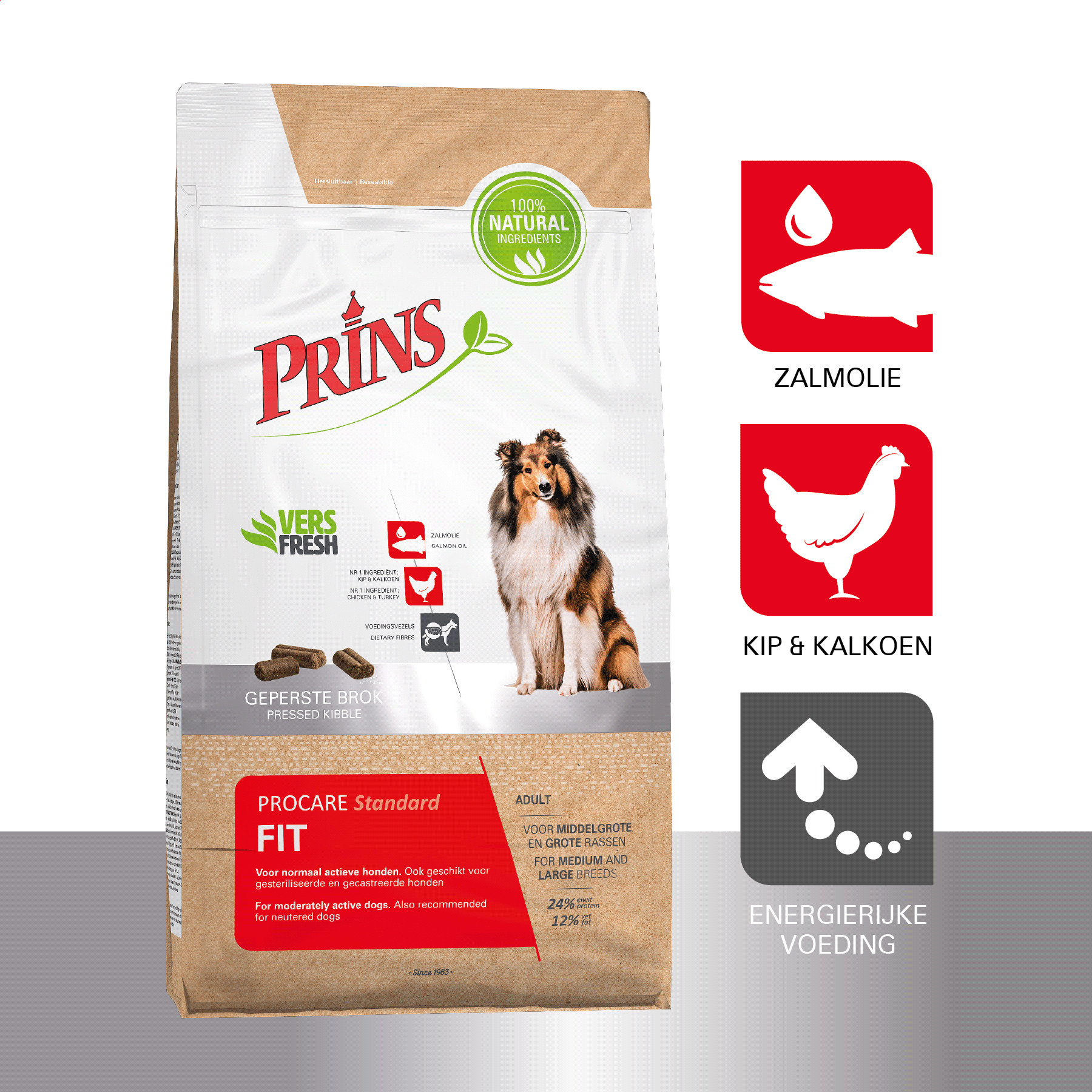 Prins ProCare Standard Fit pour chien