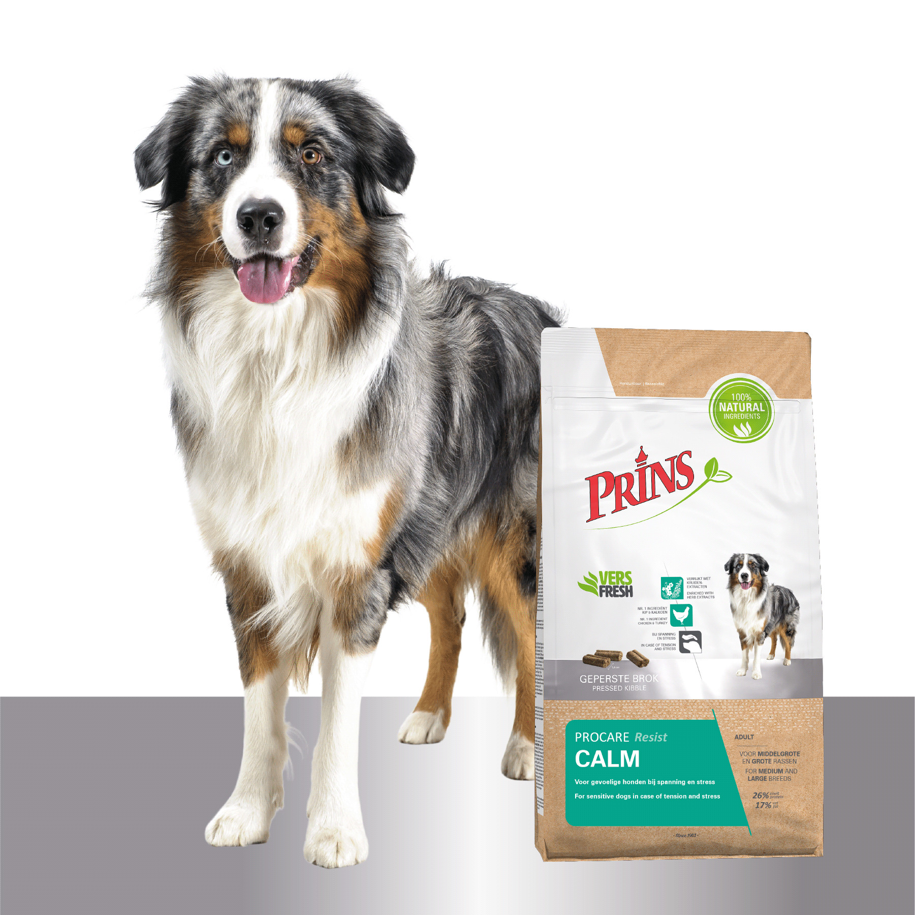 Prins ProCare Resist Calm pour chien