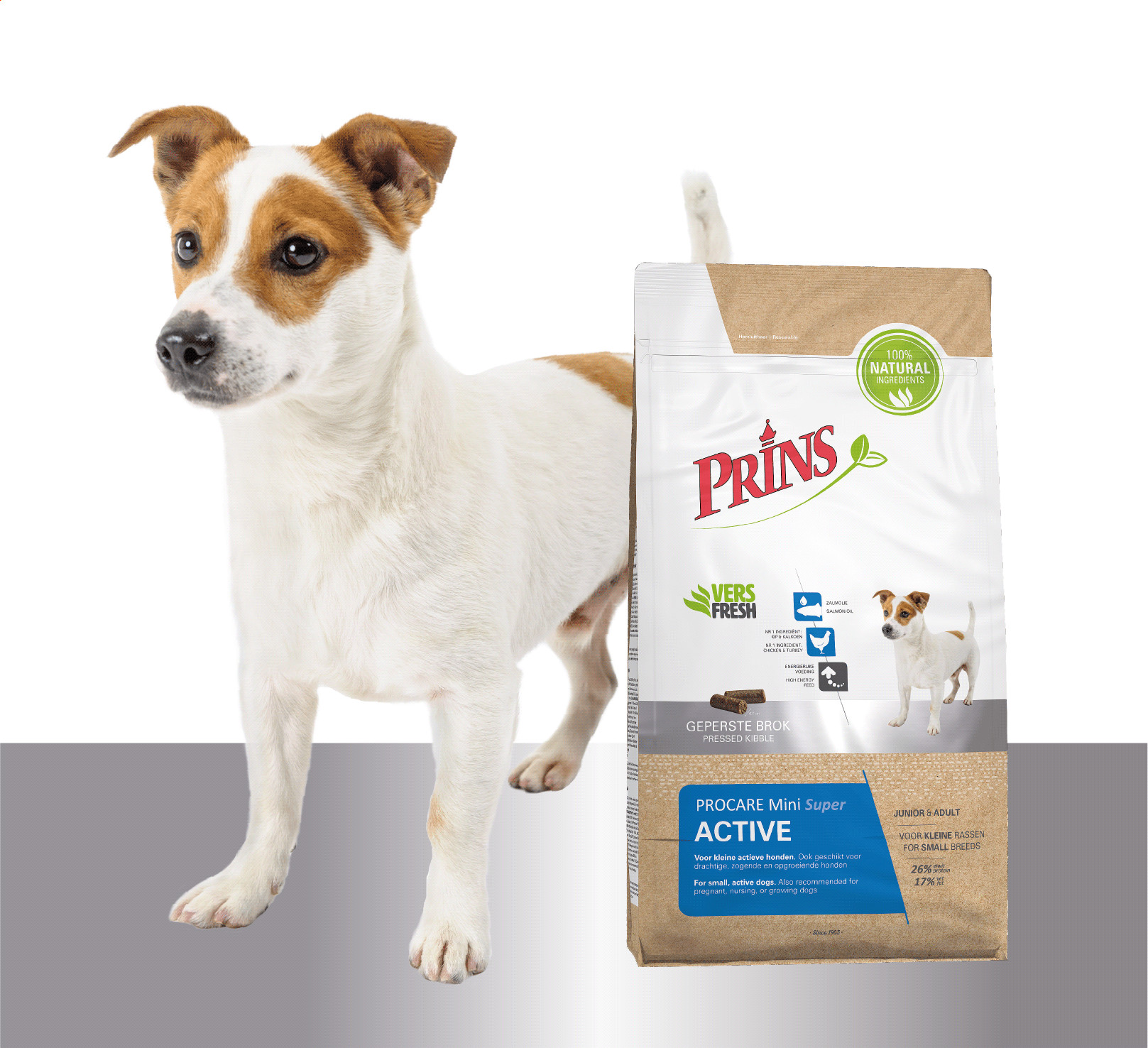 Prins ProCare Super Mini pour chien