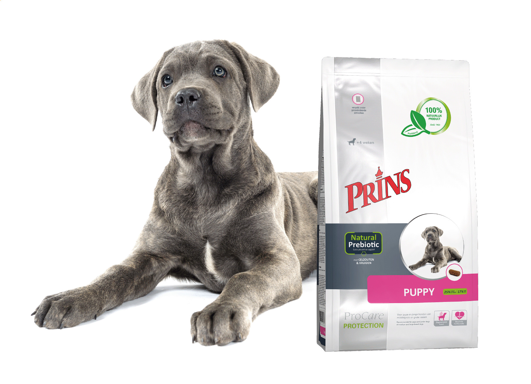 Prins ProCare Protection pour chiot