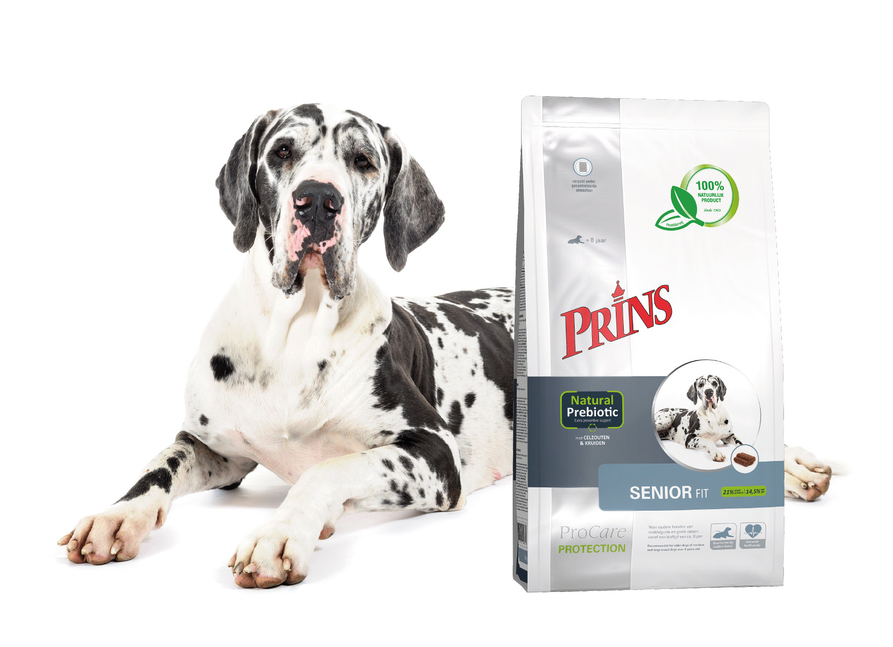 Prins ProCare Protection Santé Senior pour chien