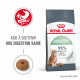 Royal Canin Chat Digestive Care