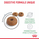 Royal Canin Chat Digestive Care