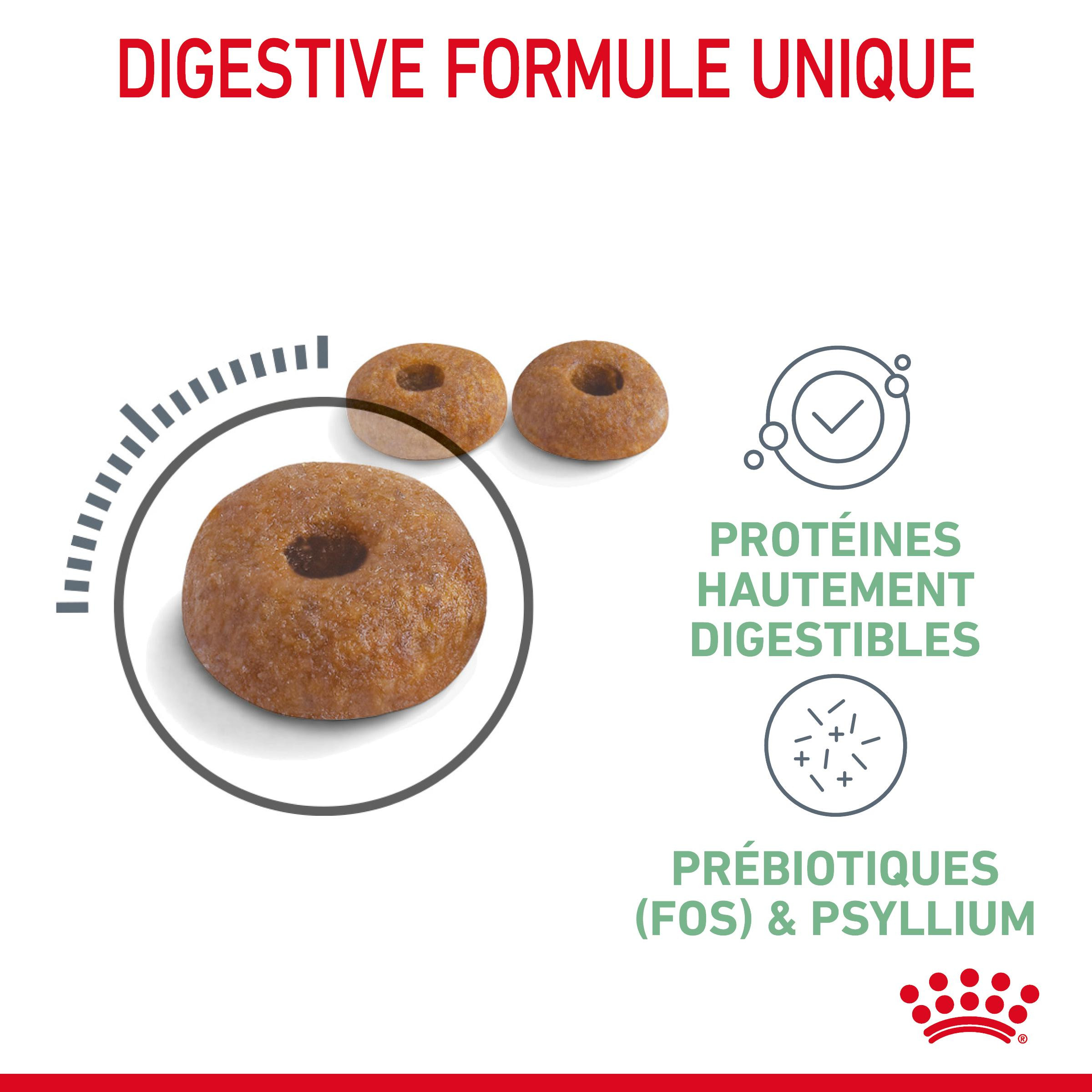 Royal Canin Chat Digestive Care