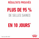 Royal Canin Chat Digestive Care