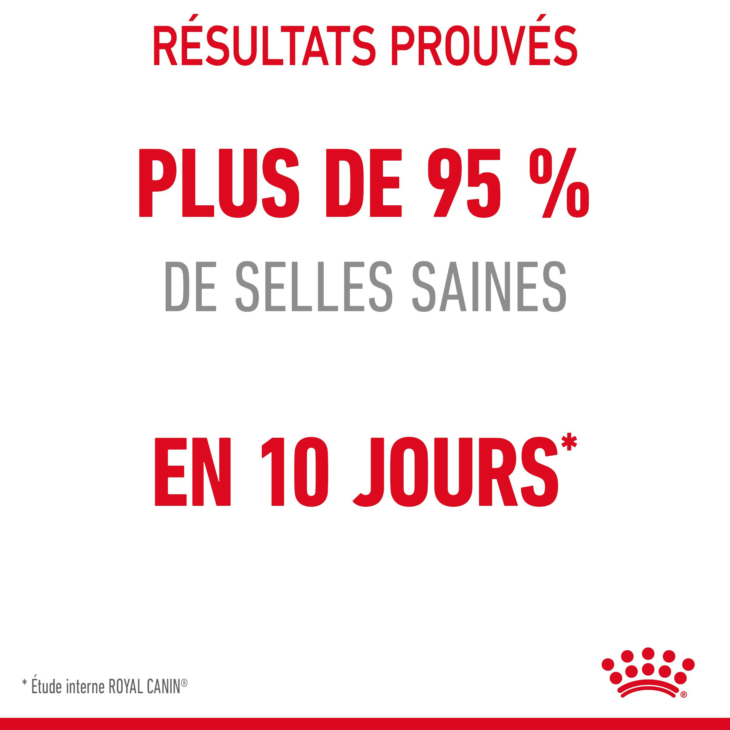 Royal Canin Digestive Care pour chat
