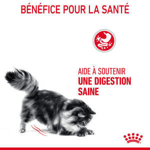 Royal Canin Chat Digestive Care