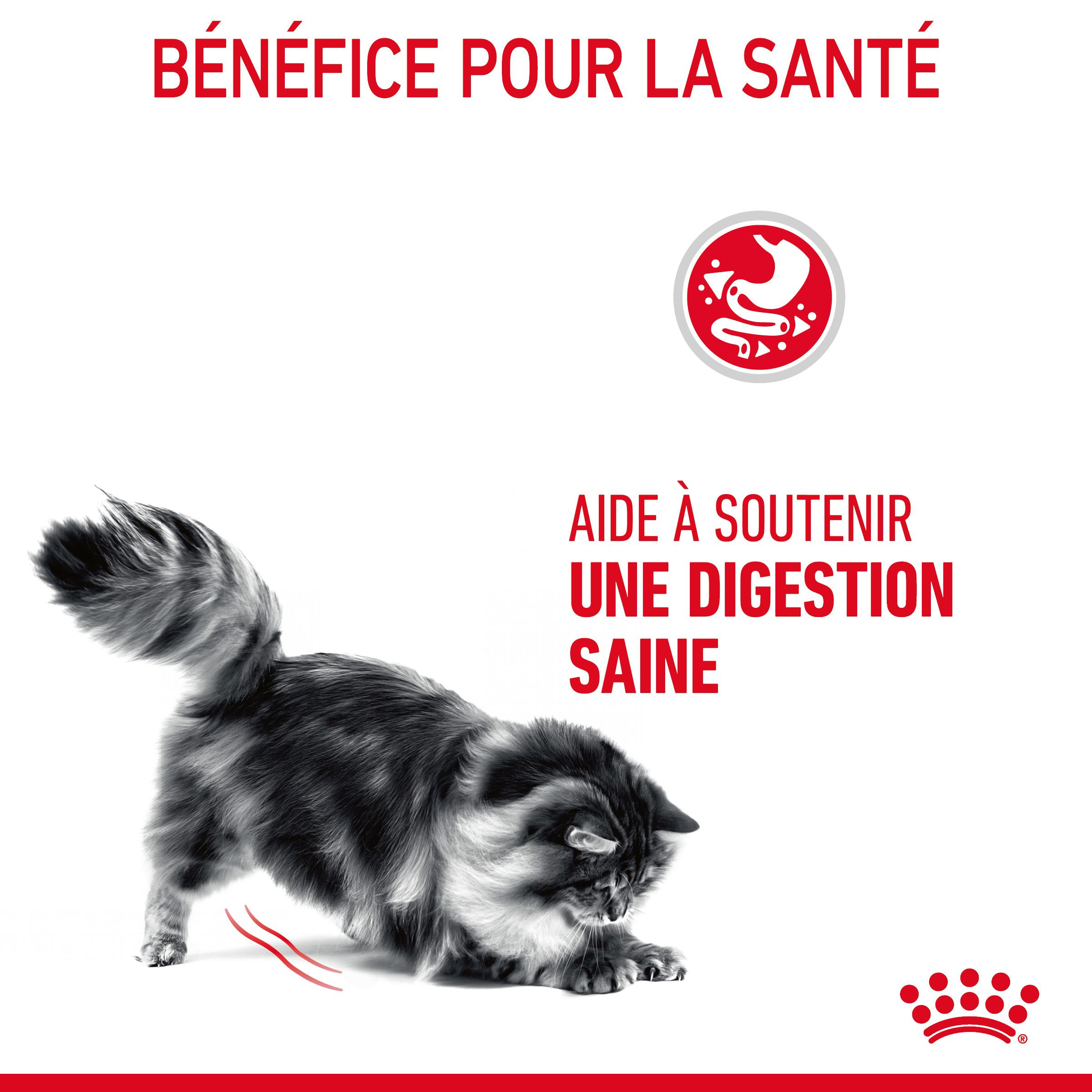 Royal Canin Digestive Care pour chat
