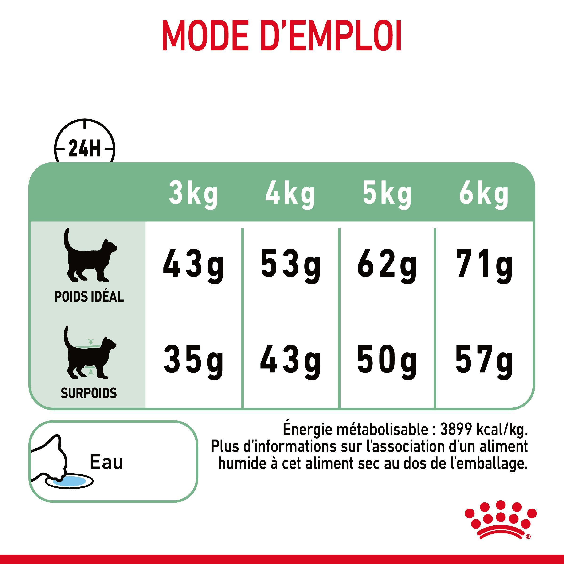 Royal Canin Chat Digestive Care