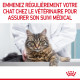 Royal Canin Chat Digestive Care