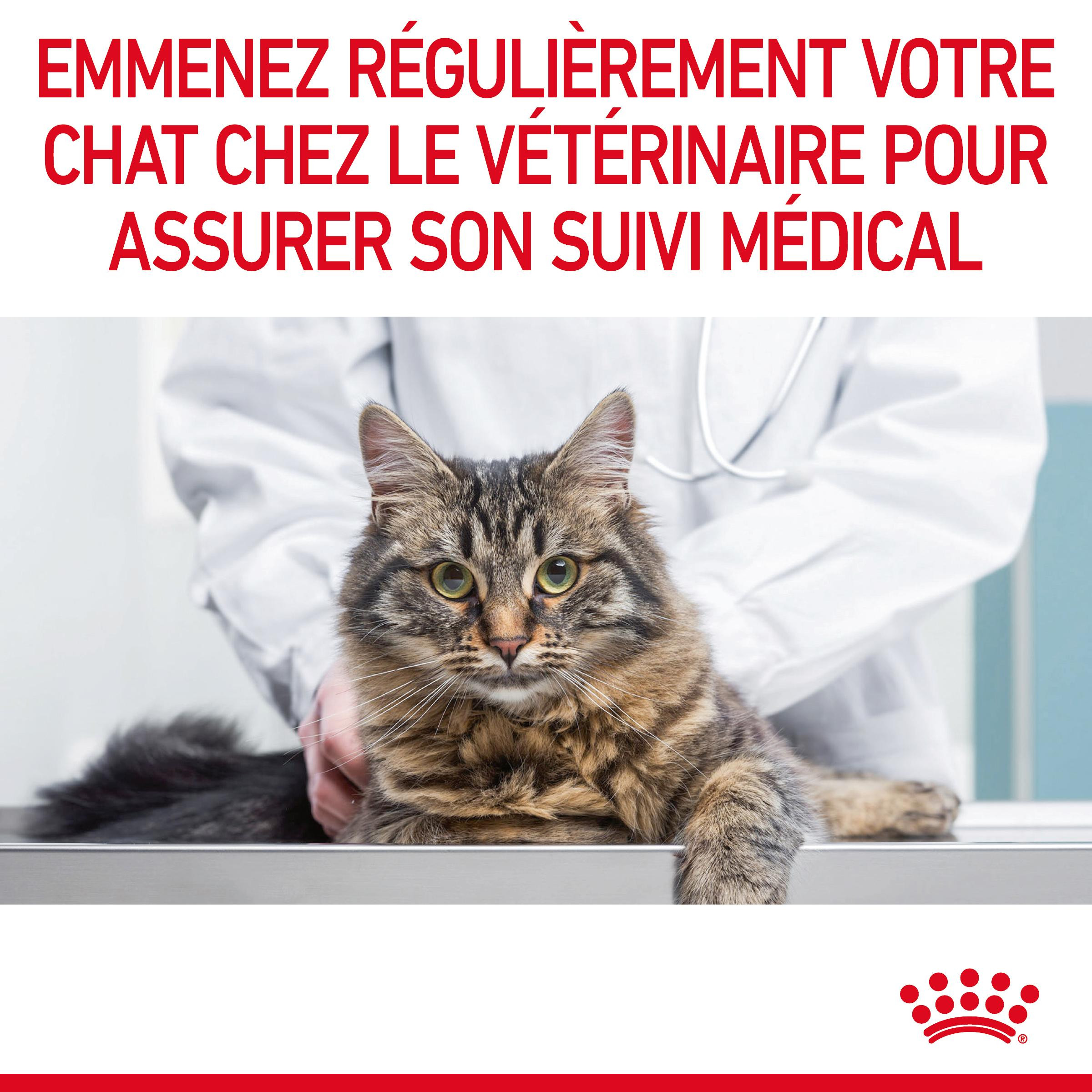 Royal Canin Digestive Care pour chat