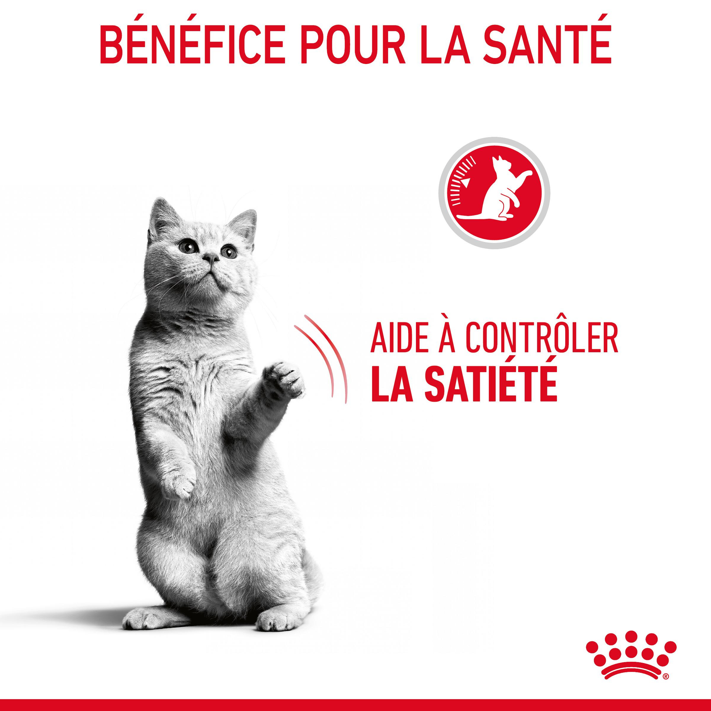 Royal Canin Appetite Control Care kattenvoer