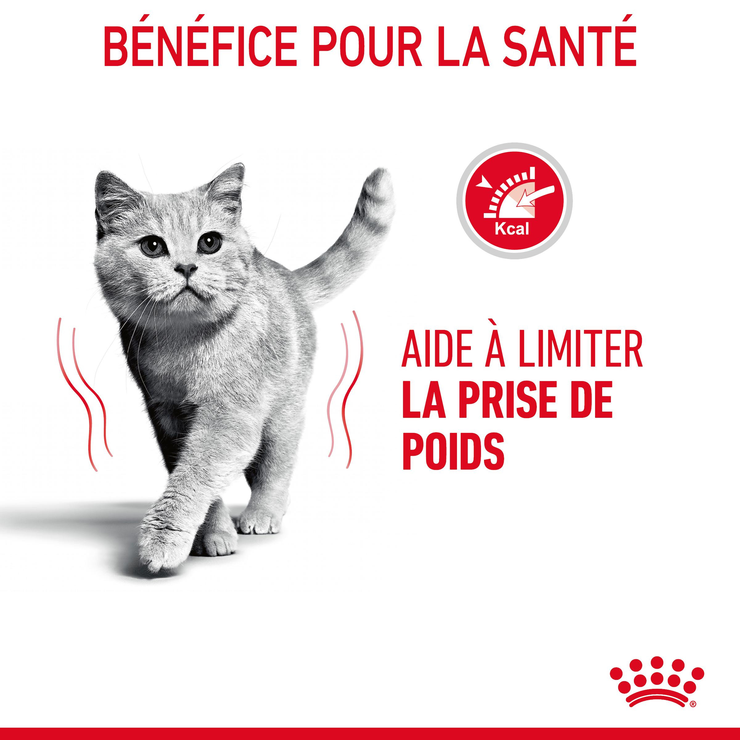 Royal Canin Light Weight Care kattenvoer