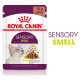 Royal Canin Sensory Smell pâtée pour chat