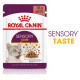 Royal Canin Sensory Taste pâtée pour chat