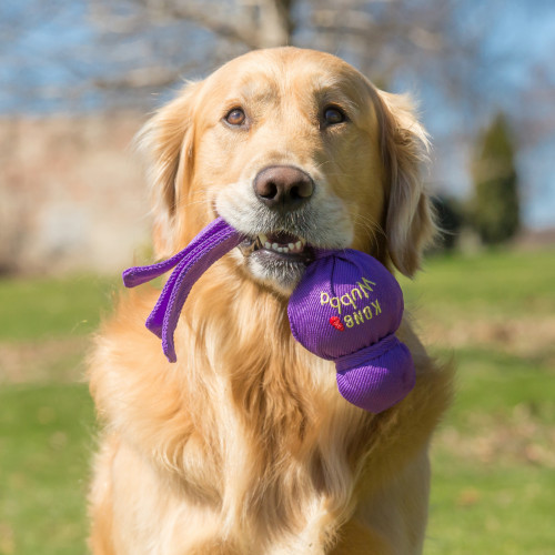 Kong Wubba L pour Chiens