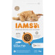 Iams Adult au poisson pour chat