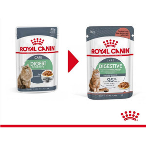 Royal Canin Digestive Care pour chat (12x85 g)