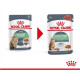 Royal Canin Digestive Care pour chat (12x85 g)