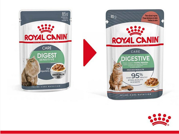 Royal Canin Digestive Care pour chat (12x85 g)