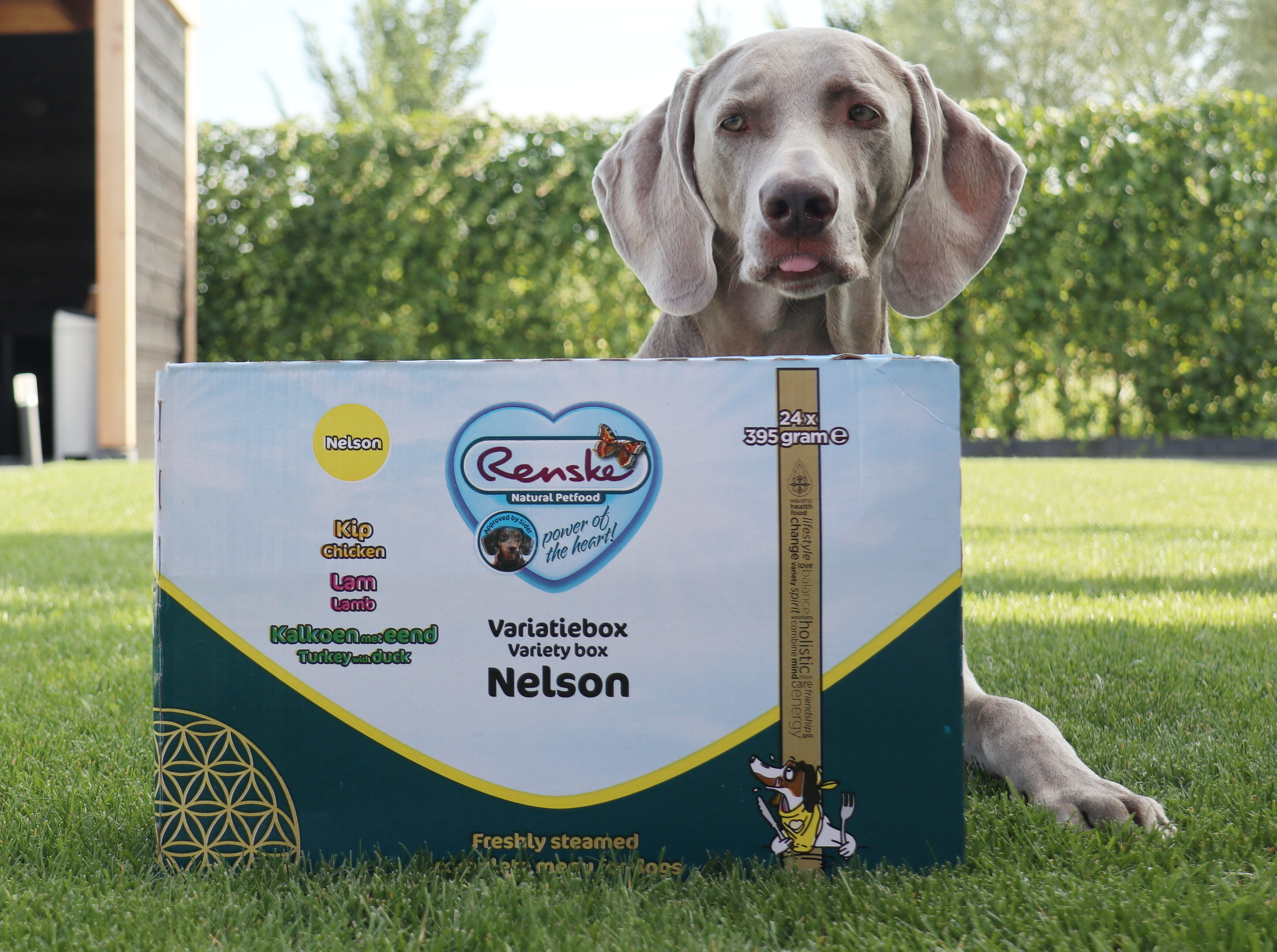 Renske Multibox Nelson pour chien (24 x 395 g)