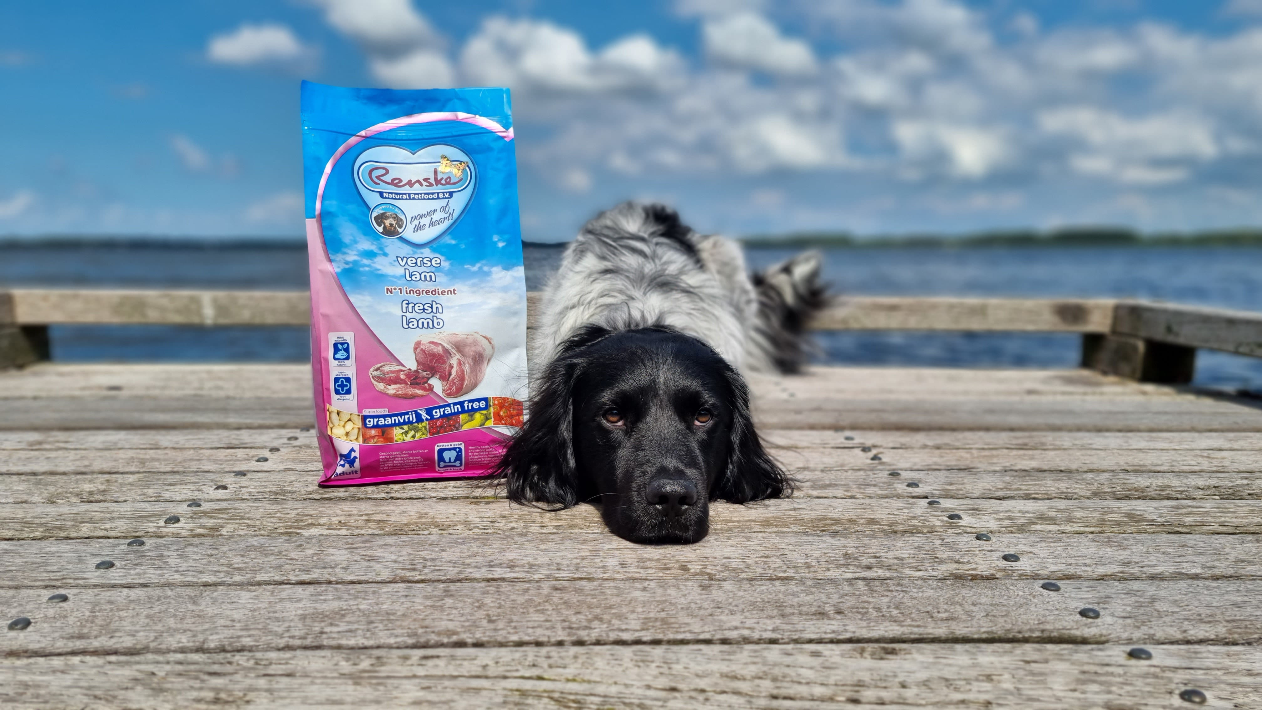 Renske Super Premium Adult Sans Céréales Agneau Frais pour chien