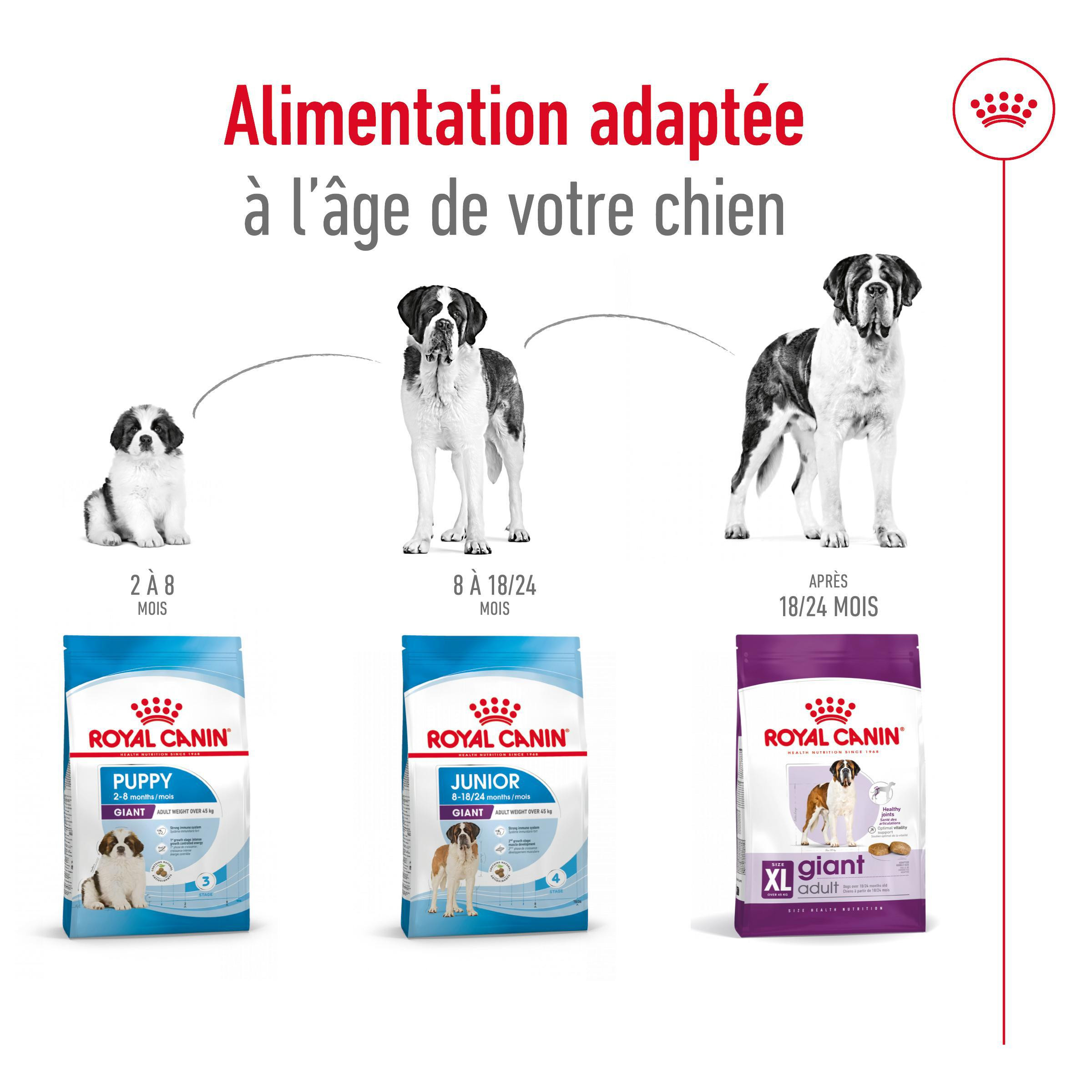 Royal Canin Giant Adult pour chien