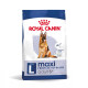 Royal Canin Maxi Adult 5+ pour chien