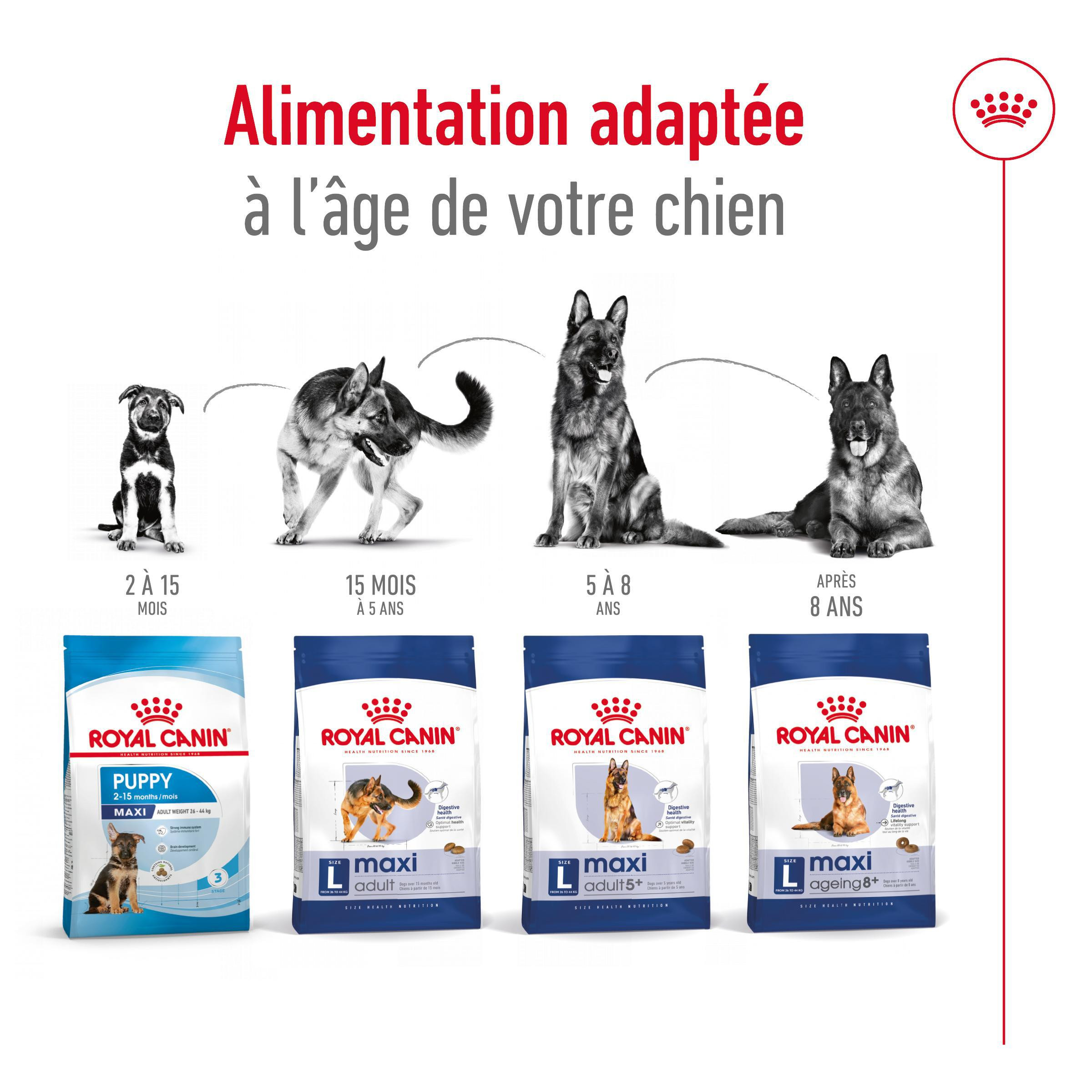 Royal Canin Maxi Adult 5+ Hondenvoer