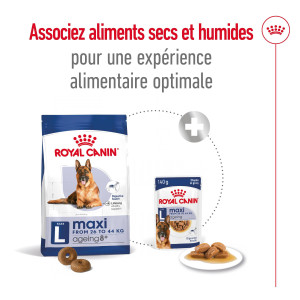 Royal Canin Maxi Ageing 8+ pour chien