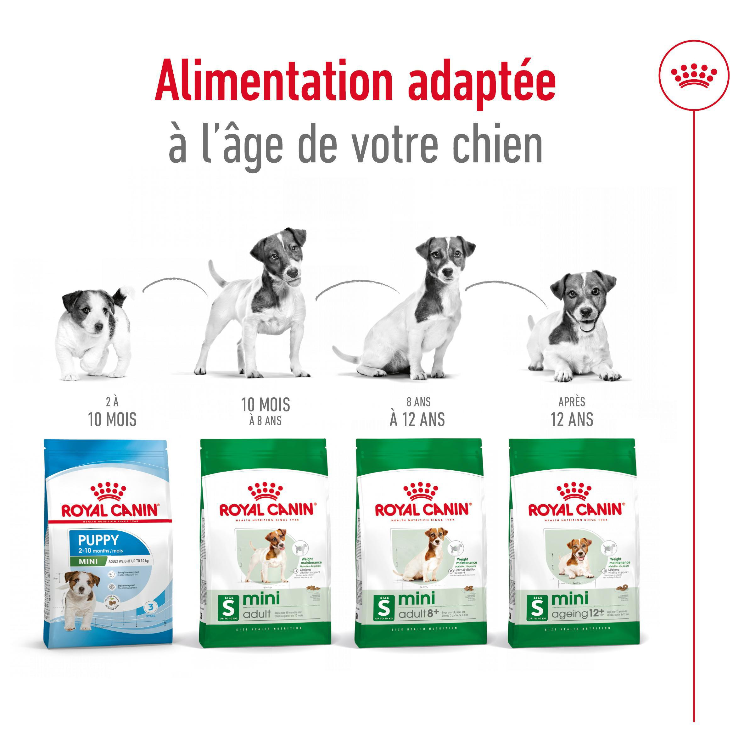 Royal Canin Mini Adult 8+ pour chien