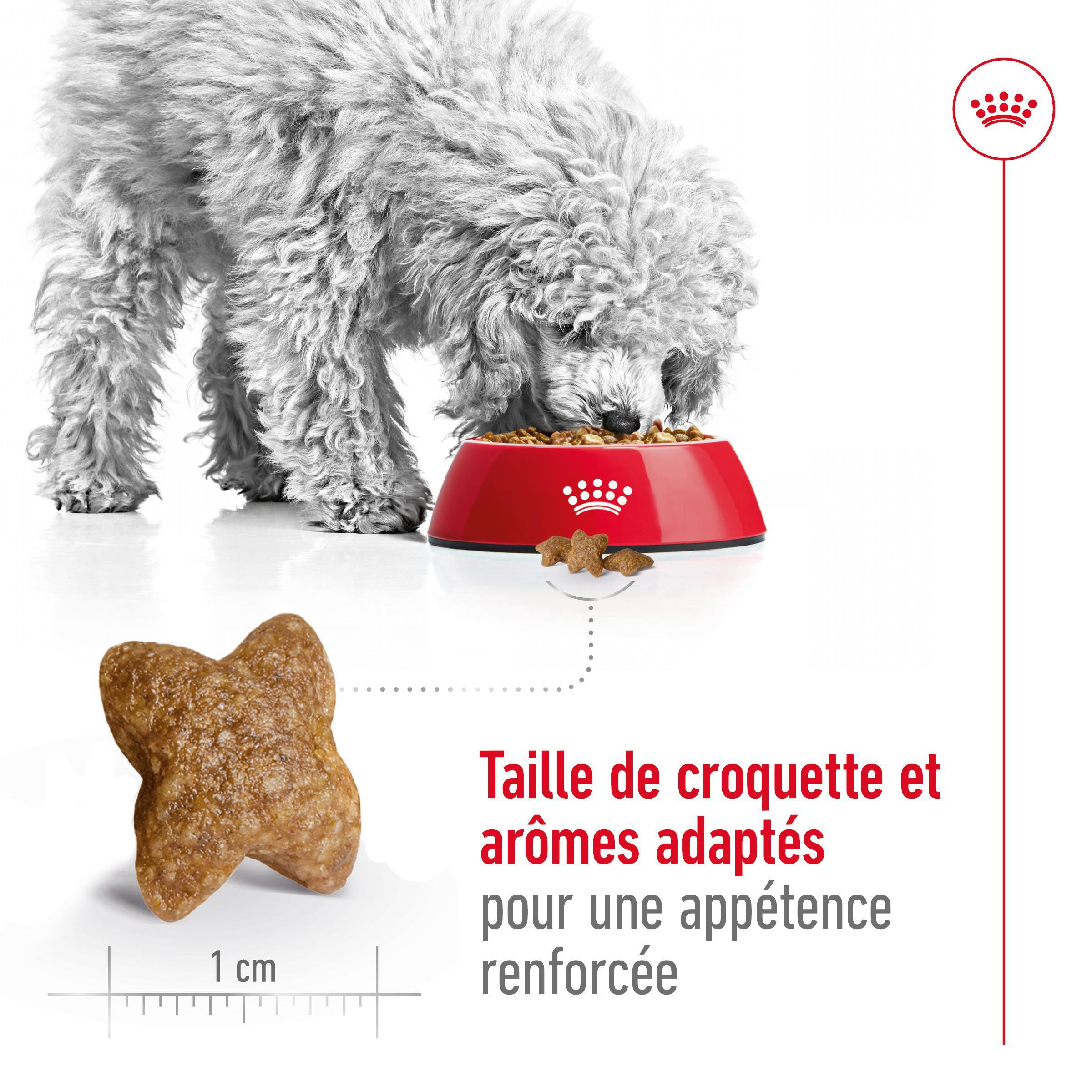 Royal Canin Mini Adult pour chien