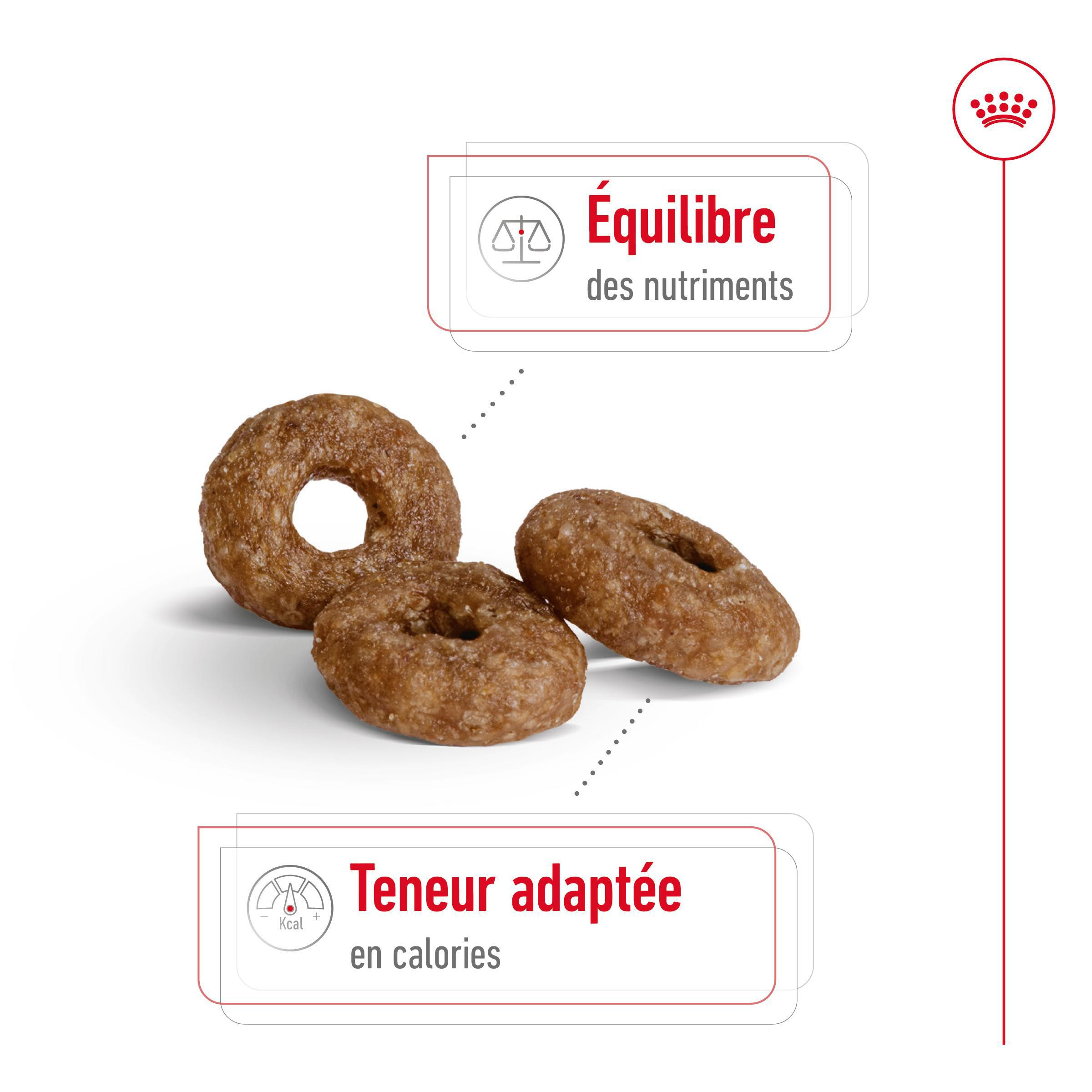 Royal Canin Mini Ageing 12+ pour chien