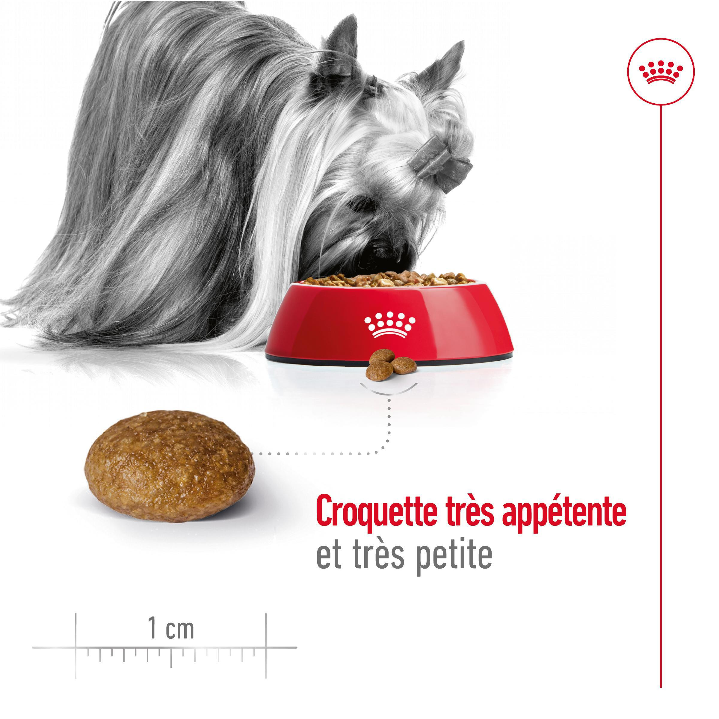 Royal Canin X-Small Adult +8 pour chien