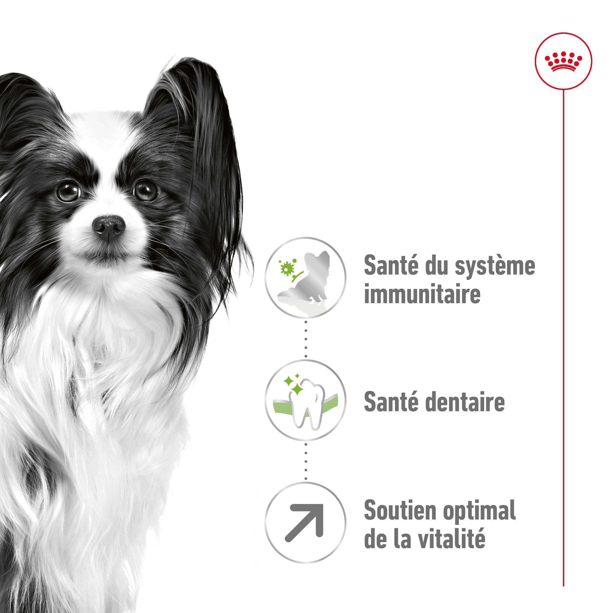 Royal Canin X-Small Adult +8 pour chien