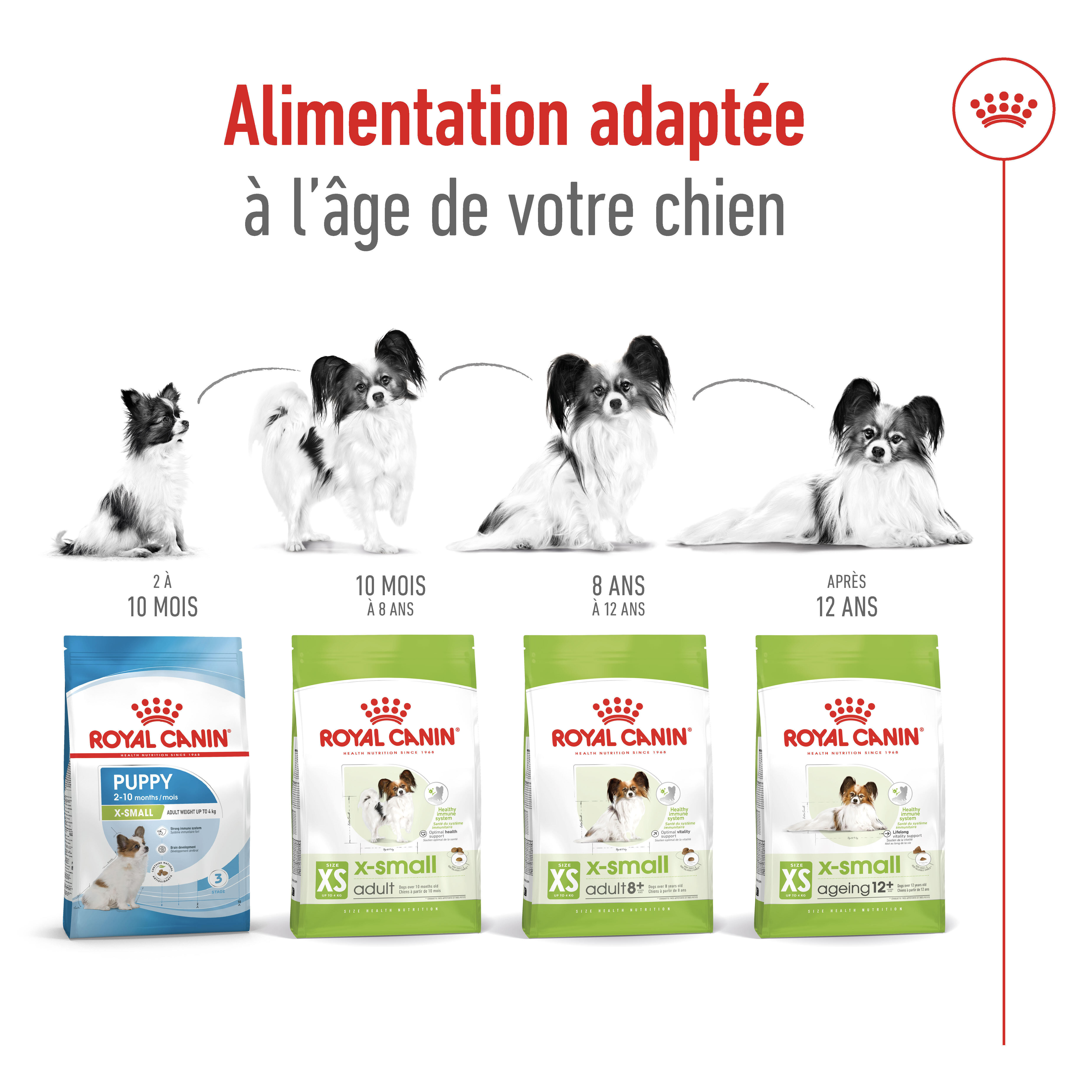 Royal Canin X-Small Adult +8 pour chien