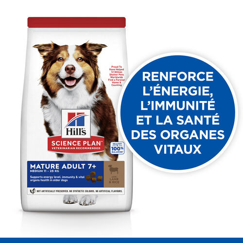 Hill's Mature Adult Medium à l'agneau et riz pour chien